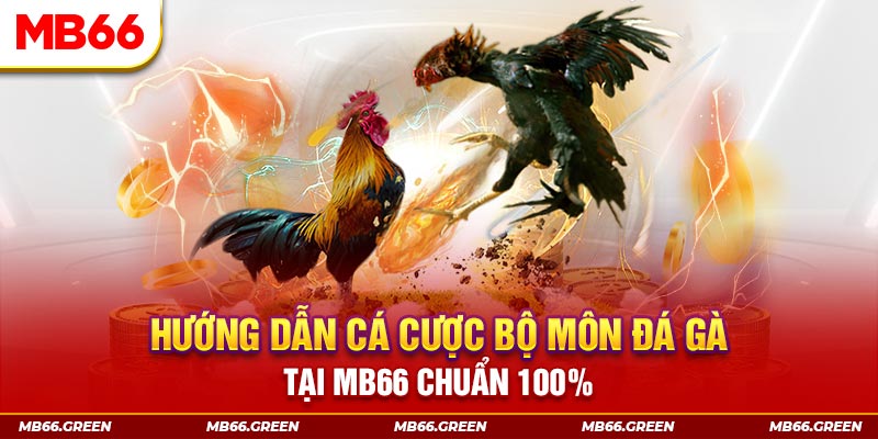 vvvwin70 xổ số bình định