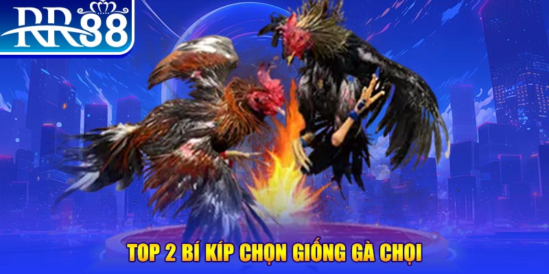 vvvwin70 đăng nhập roulette dễ thắng
