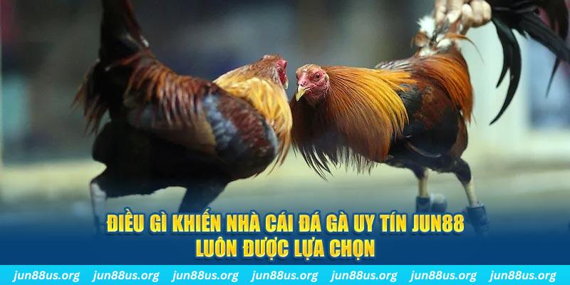 vvvwin70 qq88 nổ hũ bắn cá