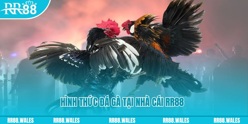 vvvwin70 xin 1 slot là gì