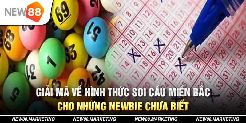 vvvwin70 đăng nhập mậu binh live