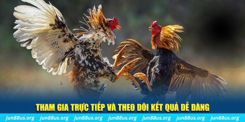 vvvwin70 đá gà trực tiếp bình luận viên