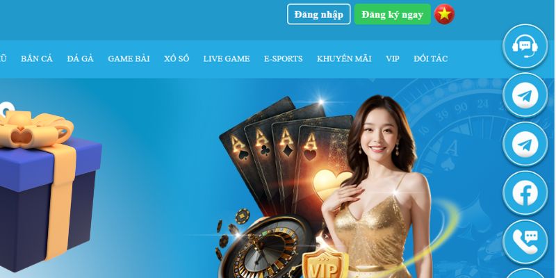 vvvwin70 slot là gì dịch