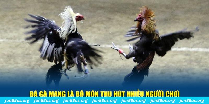 vvvwin70 xổ số cà mau