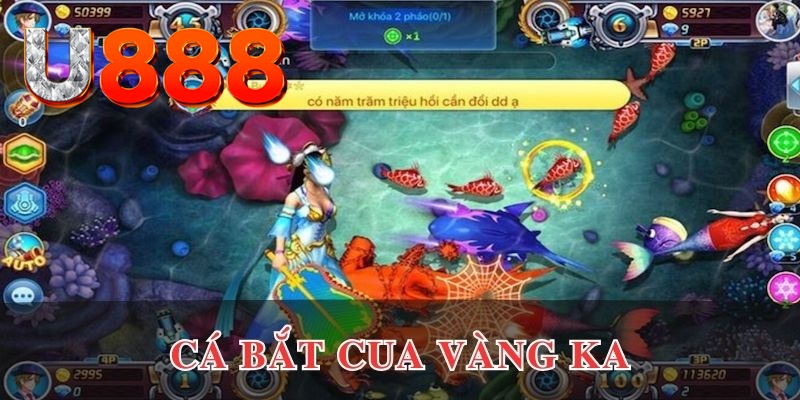 vvvwin70 đăng nhập phỏm uy tín