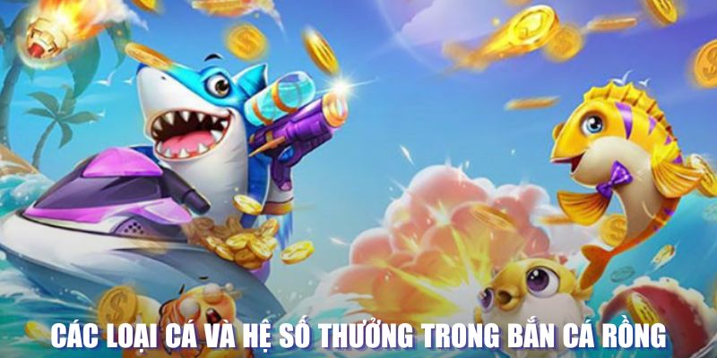 vvvwin70 loi game dot kich ket noi may chu that bai