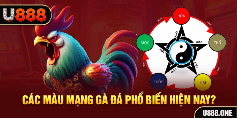 vvvwin70 đăng nhập mậu binh