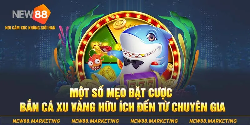 vvvwin70 what is a casino deposit bonus