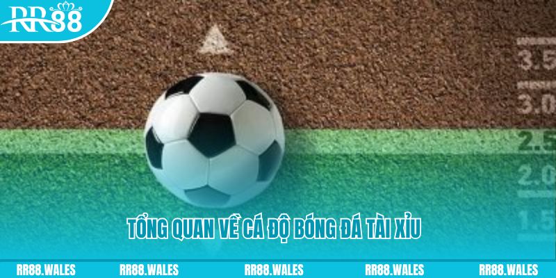 vvvwin70 đăng nhập lô đề online