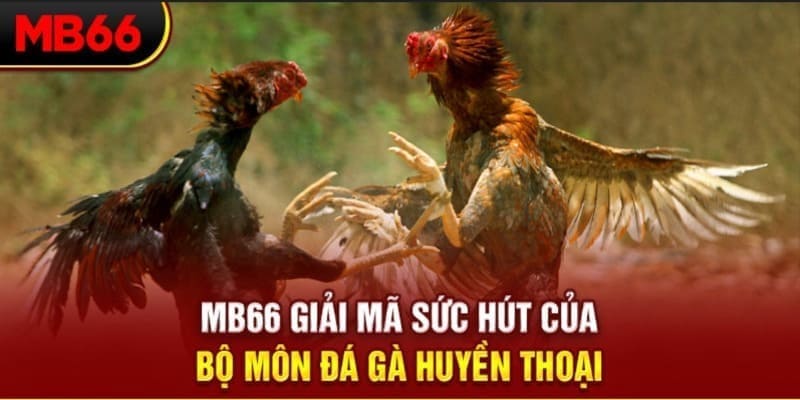 vvvwin70 Phi Đội Ưu Tú