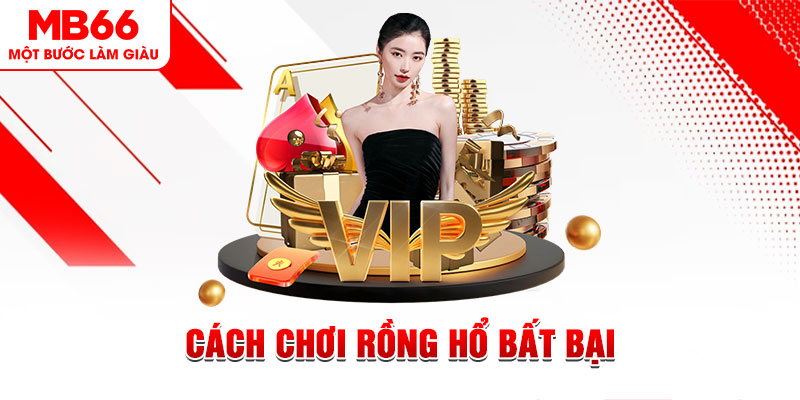 vvvwin70 gà chọi cậu thanh