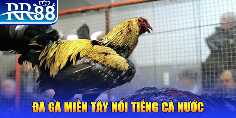 vvvwin70 xo so hom nay