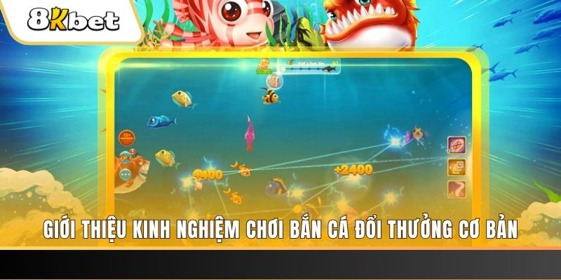 vvvwin70 xổ số miền bắc thứ năm hàng tuần