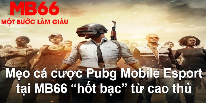 vvvwin70 gà chọi mộc hóa