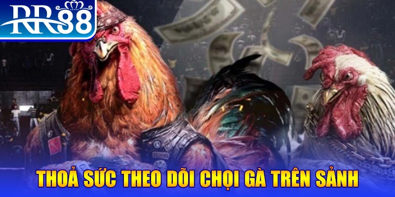 vvvwin70 đá gà 88.com