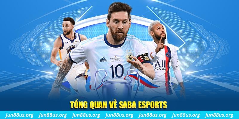 vvvwin70 gà chọi c1 tv trực tiếp hôm nay